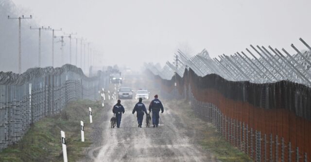 Serbian Police Deployed to Hungarian Border After Migrant Shootout