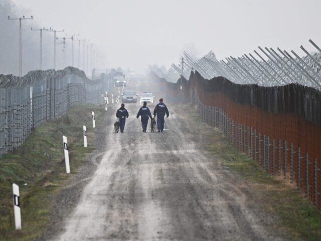 TOPSHOT - Hungarian border police officiers patrol on December 15, 2022 at the Hungarian-S