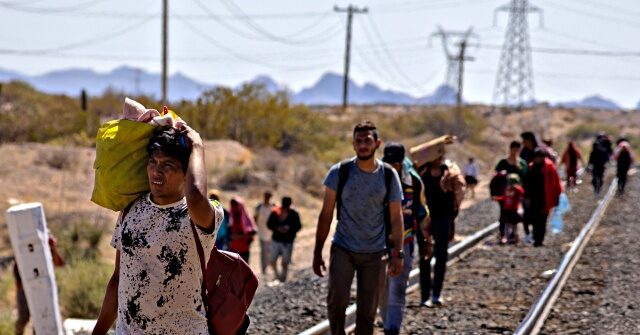 Rail Assn. Pres.: Closing Rail over Migrant Surge Costing Hundreds of Millions a Day with No End in Sight