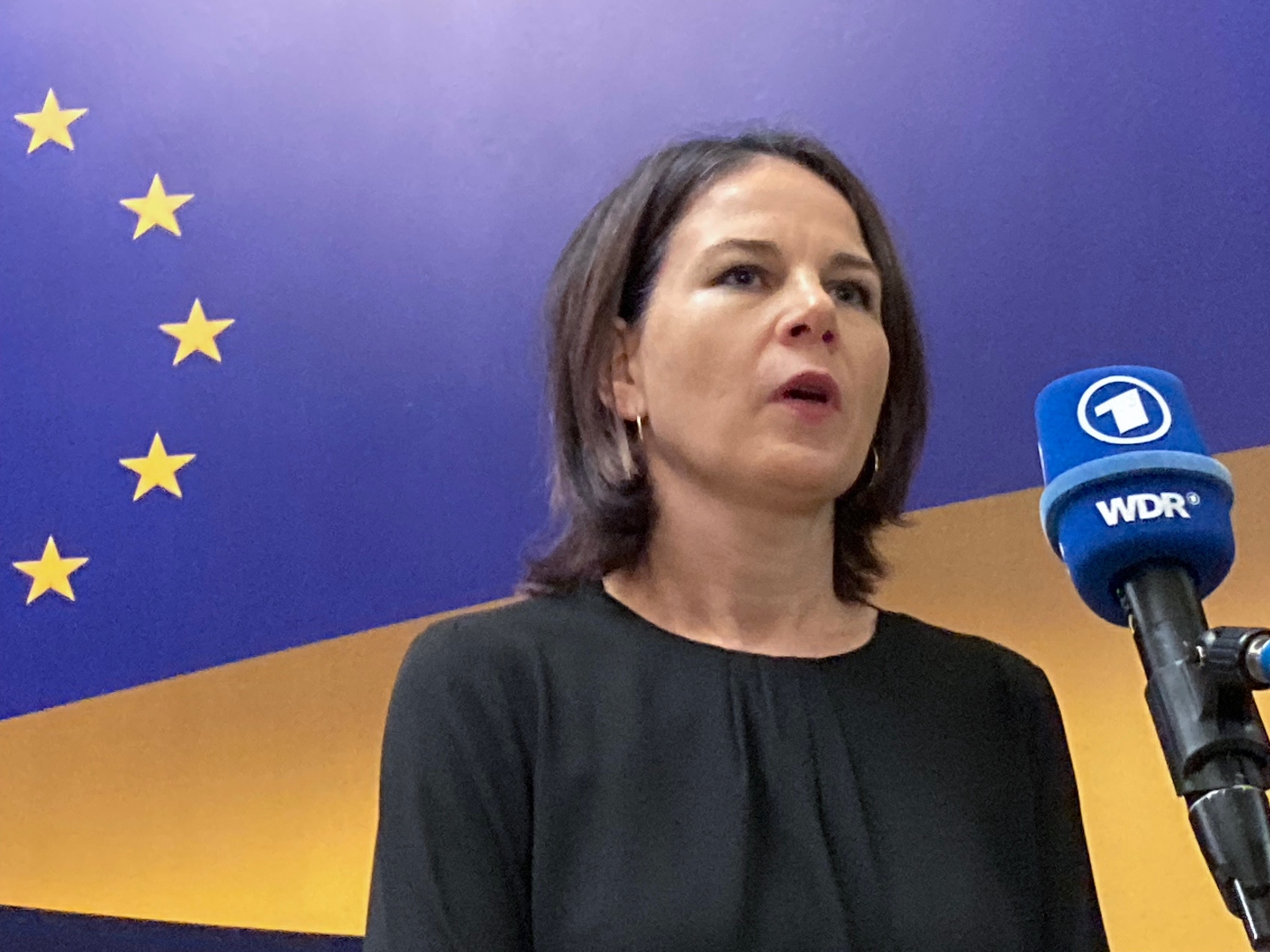 'From Lisbon to Luhansk': EU Will Expand Eastwards, Vows German FM - Vimarsana News