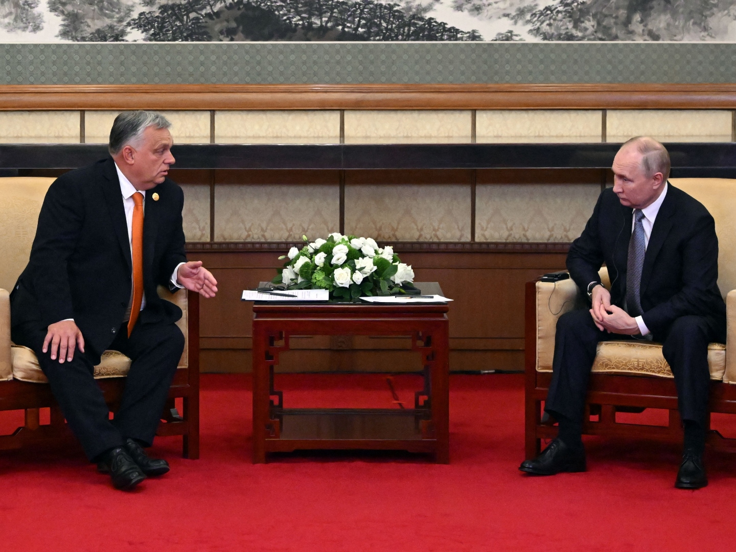 Hungary's Orbán Calls for Ukraine 'Ceasefire' During Meeting with Putin - Vimarsana News