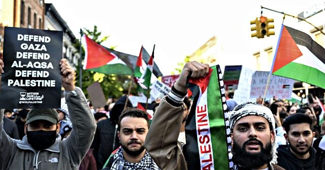 Biden's White House Will Not Revoke Visas of Pro-Hamas Foreign Students