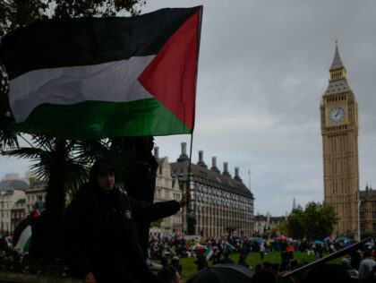 Demonstrators hold placards and flag as they march through central London in support of Pa