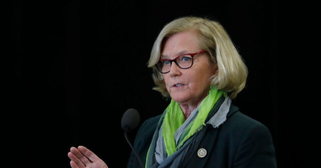 Dem Rep. Pingree: Maine Has a Lot of Guns and Low Crime, But ‘Automatic’ Weapons ‘Shouldn’t Be So Readily Available’