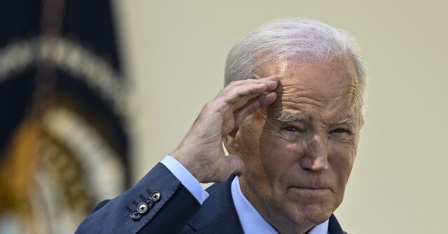 White House Protests Biden Subpoenas as 'Nasty Personal Smears'
