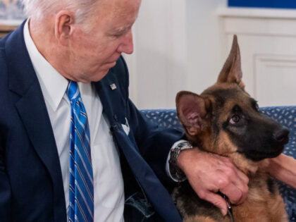 US President Joe Biden pets his new dog Commander as he speak virtually with military serv