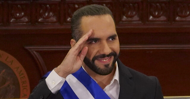 NextImg:El Salvador’s Bukele ‘Honored to Receive’ Ilhan Omar's Attacks