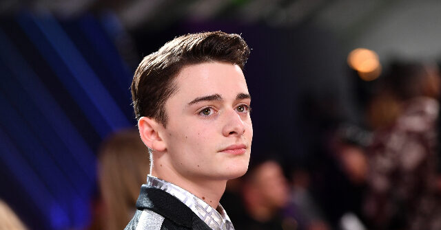 'Stranger Things' Star Noah Schnapp Blasts Instagram Followers for Celebrating Hamas: 'You Either Stand with Israel or You Stand with Terrorism'