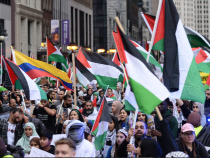 Pro-Palestinian rally and march in Chicago