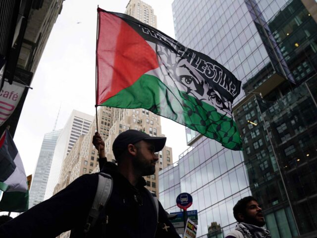 Palestinian flag (Bryan R. Smith / AFP via Getty)