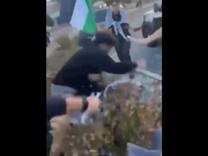 Palestinian supporters beating TPUSA rep