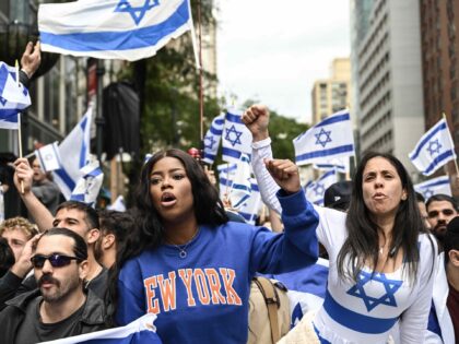 Pro-Israel New York (Fatih Aktas/Anadolu Agency via Getty)