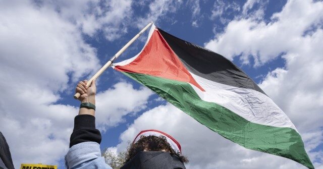 U.N. Court Orders Israel to Report on Gaza 'Genocide' but Simply Calls on pro-Palestinian Terrorists to Release Hostages
