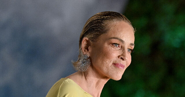 Sharon Stone: 'If You Want to Live with Solid Citizens, Don't Come to Hollywood'