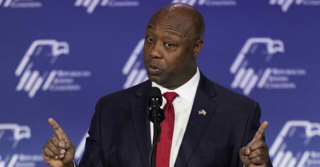 Tim Scott to Republican Jewish Coalition: 'Cut Out the Rot of Antisemitism' on Campus