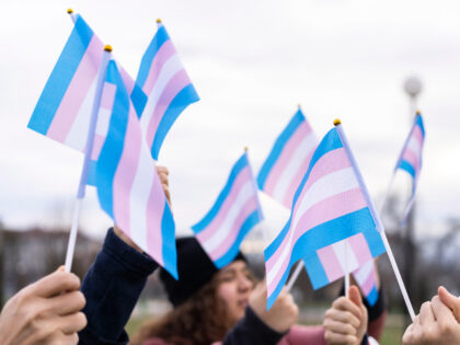 People holding transgender flags - stock photo