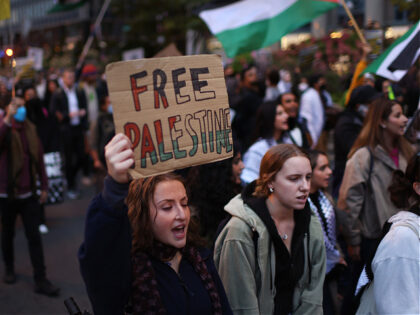 CHICAGO, ILLINOIS - OCTOBER 11: Demonstrators rally and march through downtown to show support for the Palestinian people on October 11, 2023 in Chicago, Illinois. Organizers of the event called on the U.S. to stop supporting Israel, which they refer to as a "racist, apartheid state". (Photo by Scott Olson/Getty …