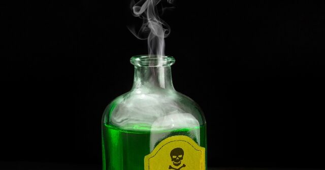 Humans Strike Back: Artists Use Tools to 'Poison' AI Copycats