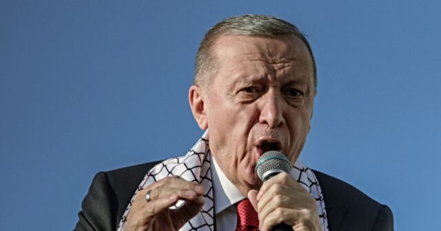 NextImg:'Murderer Israel': Erdogan Leads 1.5 Million People in Pro-Hamas Airport Takeover