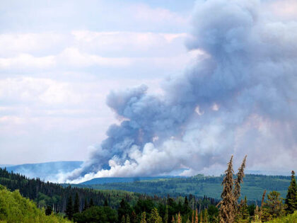 Smoke billows from the Donnie Creek wildfire burning north of Fort St. John, British Columbia, Canada, Sunday, July 2, 2023. (AP Photo/Noah Berger)