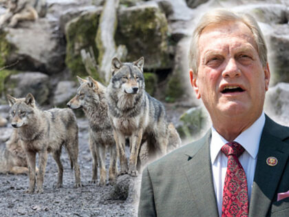 Rep. Mike Simpson, R-Idaho, speaks during a news conference on the Great American Outdoors