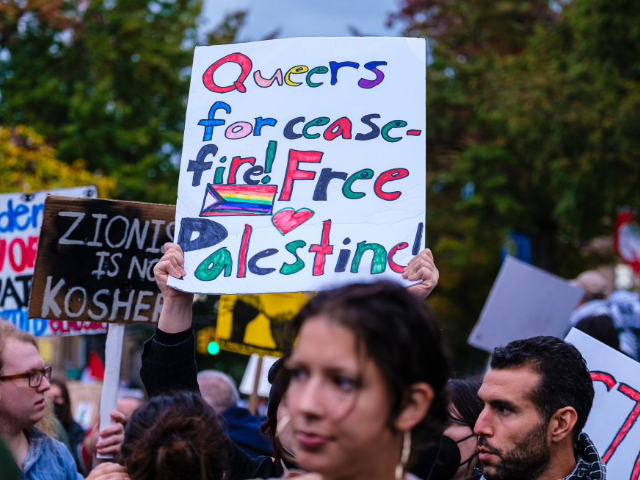 Left Holds 'Queers for Palestine' Rally Despite Israel's Pro-LGBTQ+ Laws - Vimarsana News