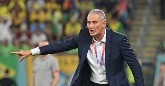 Ex-Brazil boss Tite to coach Flamengo - Breitbart