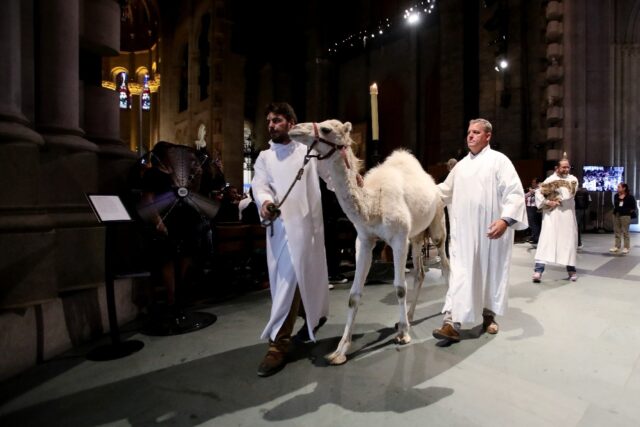 A camel awaits a blessing in a New York cathedral to mark the feast of St Francis of Assis