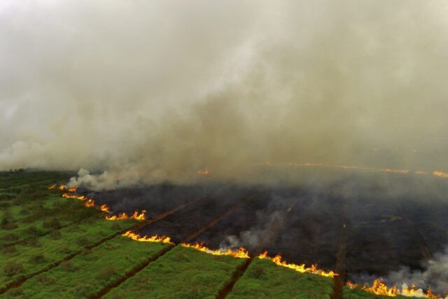 Peatland fires have spread through Ogan Ilir, South Sumatra, which neighbours Jambi provin