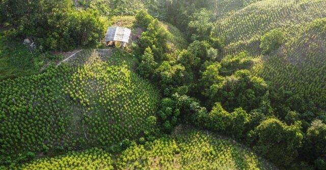 Tibu, violent 'no-man's land' hosting Colombian peace talks