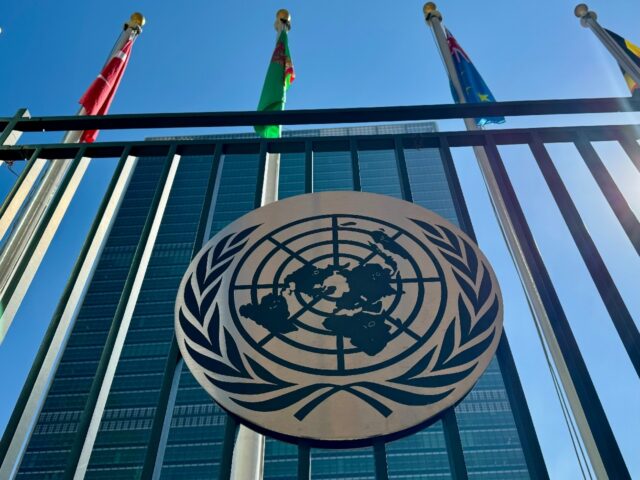 A top UN expert noted a "considerable spike" in allegations of torture over the past year,