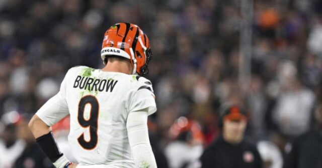 NFL Investigating Bengals over Joe Burrow Injury After Deleted Video