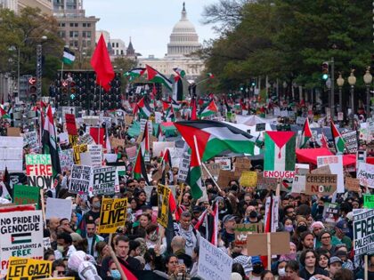 With the U.S Capitol n the background thousands of protesters rally during a pro-Palestini