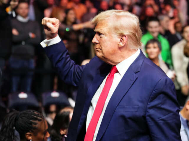 NEW YORK, NEW YORK - NOVEMBER 11: Former U.S. President Donald Trump is seen during the UF