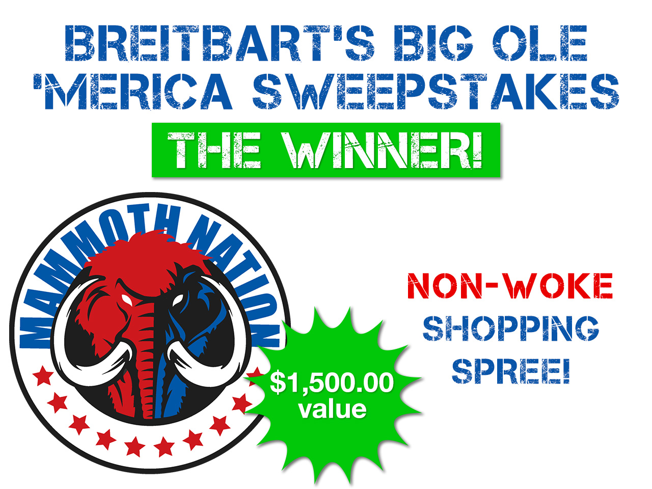 Meet the Winner of Breitbart's Second Installment of the Big Ole 'Merica Sweepstakes - Vimarsana News