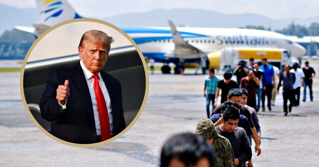 Biden Spox: Illegals Being Deported a 'Horrifying Reality' Under Trump