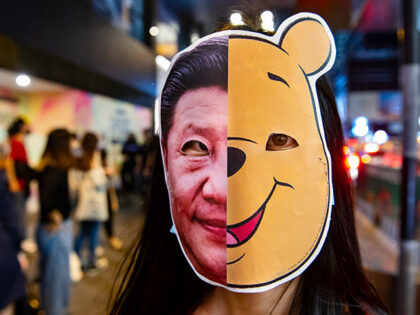 A protester wearing a Winnie the Pooh and Xi Jinping mask during the demonstration. Protes