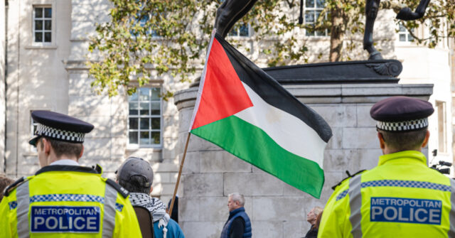 Man Arrested After Complaining About Palestinian Flags Flying in London