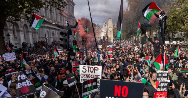 Met Police Beg Pro-Palestine Activists to 'Reconsider' Armistice Day Demo