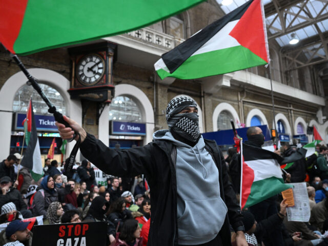 A protester waves a Palestinian flag as people take part in a sit-down protest inside Char