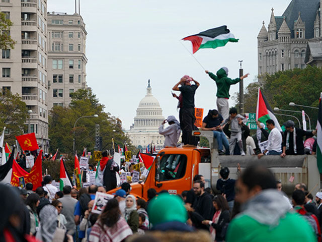 Demonstrators gather in Freedom Plaza during a rally in support of Palestinians in Washing