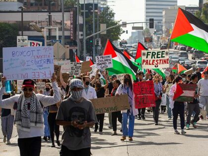 L.A. - LOS ANGELES, CA-NOVEMBER 4, 2023, 2023:Protesters, demanding an end to the Israeli