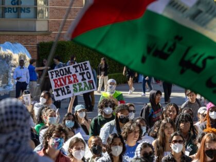 Antisemitism - Los Angeles, CA - November 08: UCLA students march and rally for Palestine