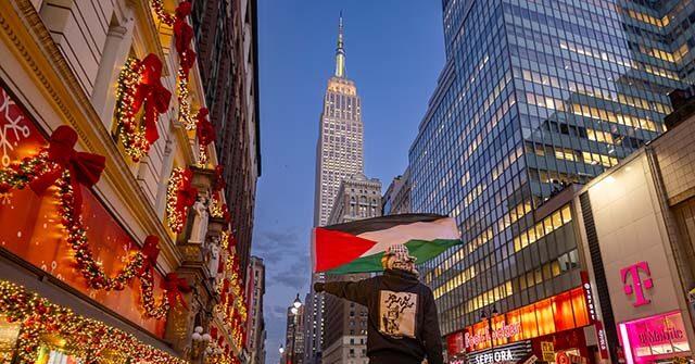 WATCH: Pro-Palestinian Protesters in NYC Honor Veterans Day by Ripping Down U.S. Flags