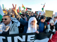 Pro-Palestinian Protesters Shut Down Bridges in Boston, San Francisco