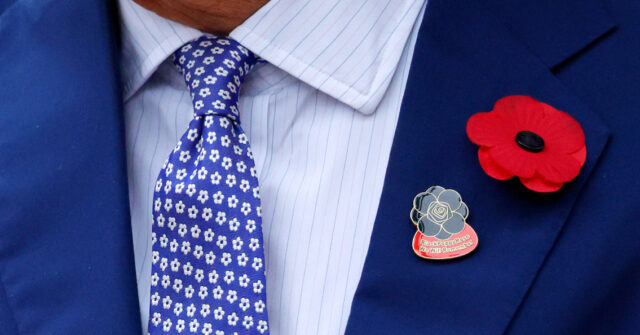Farage Rips Armistice Day 'Black Poppy,' Calls for Dismissal of King's Aide