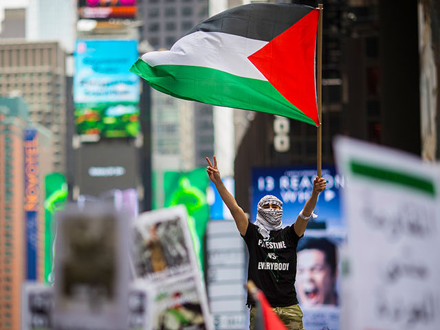 Members of the Palestinian community, fellow Muslims and their supporters rally in support