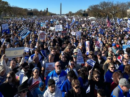 Israel rally (Matt Perdie / Breitbart News)