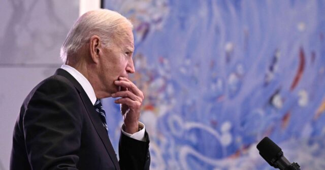 Source: Biden Pressure on Israeli Tactics Will Leave Hamas Intact and in Power