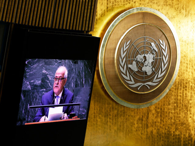 NEW YORK, NEW YORK - NOVEMBER 28: Palestinian Permanent Observer to the United Nations Riy